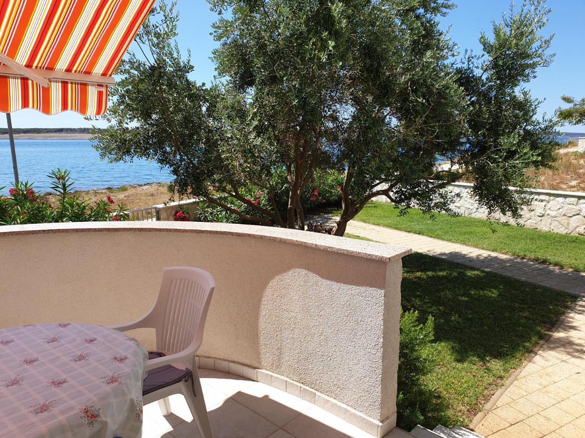 Summertime Apartmani Povljana Zewnętrze zdjęcie