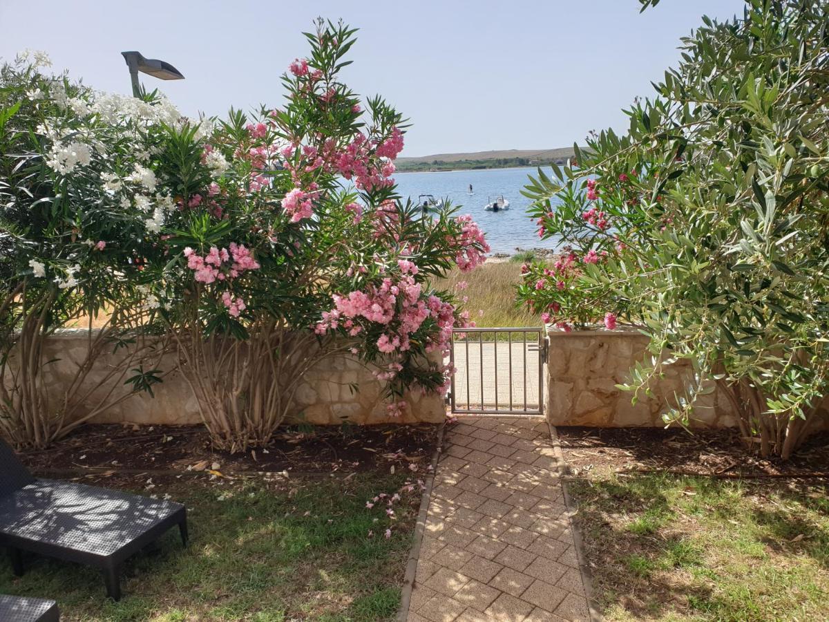 Summertime Apartmani Povljana Zewnętrze zdjęcie
