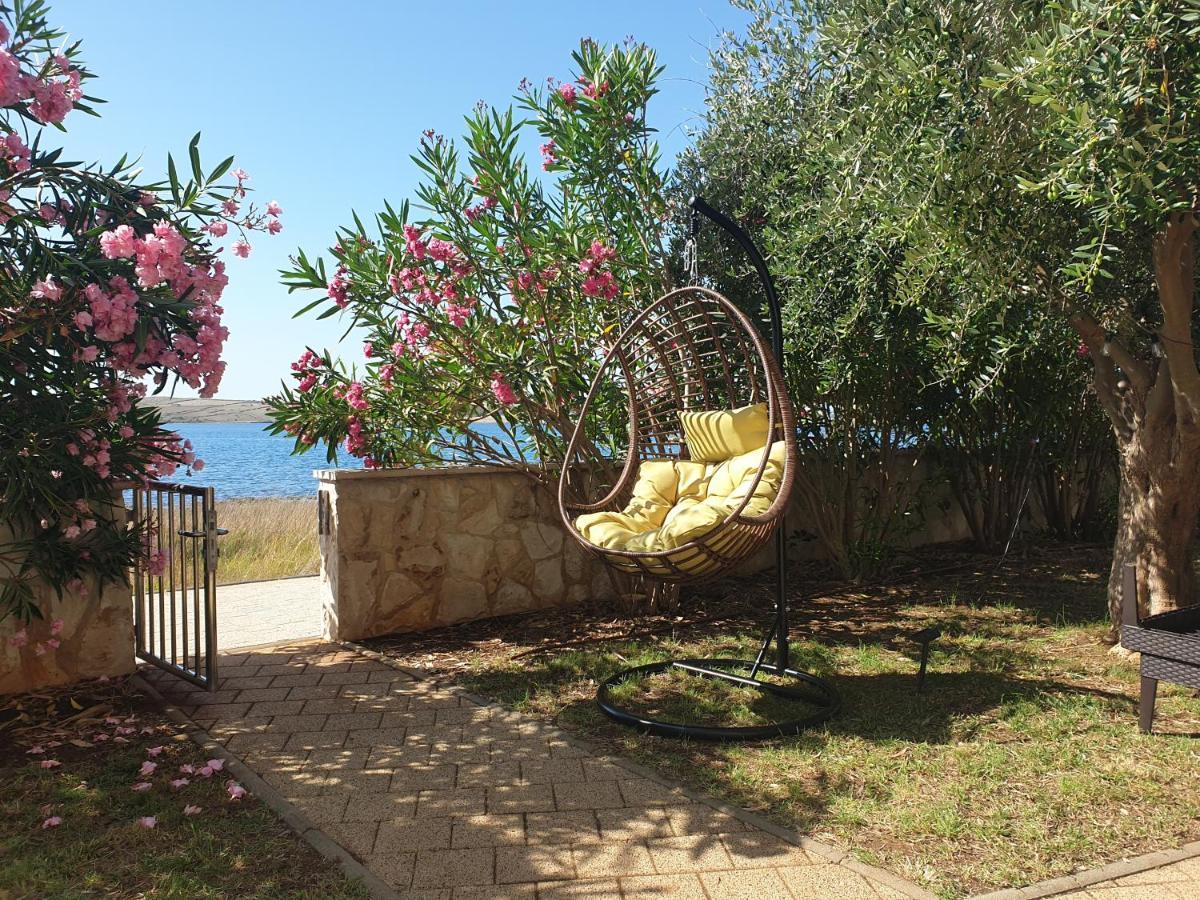 Summertime Apartmani Povljana Zewnętrze zdjęcie